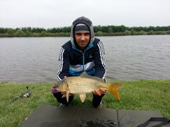 fish